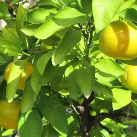 게스트하우스 Balkan House *