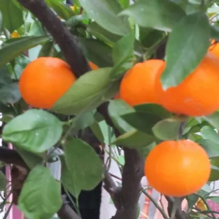 Balkan House Casa de hóspedes Mostar