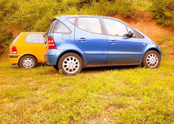 Balkan House Pensionat *